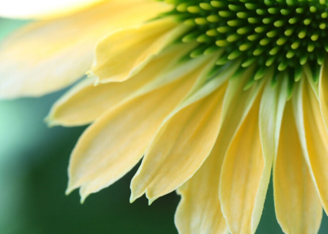 Travel Diaries, Tour Stories & Nature Views