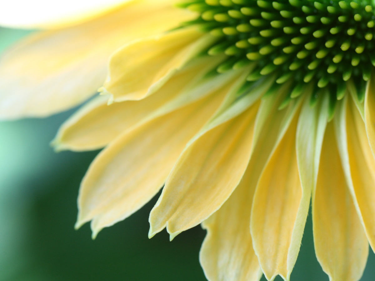 Travel Diaries, Tour Stories & Nature Views