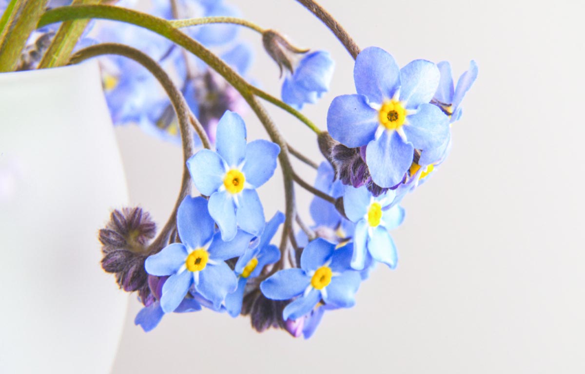 Best Summer Outfit For Men