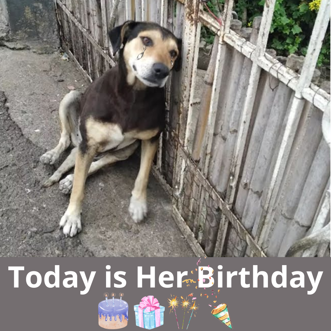 From Tragedy to Triumph: Preciosa’s Inspiring Journey