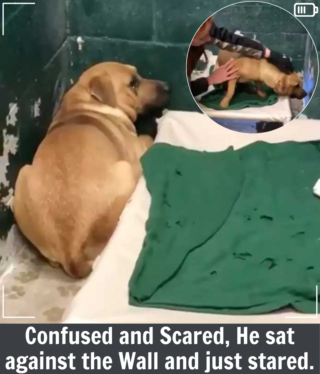 Coby’s Story: From Fear and Abandonment to Hope and Healing