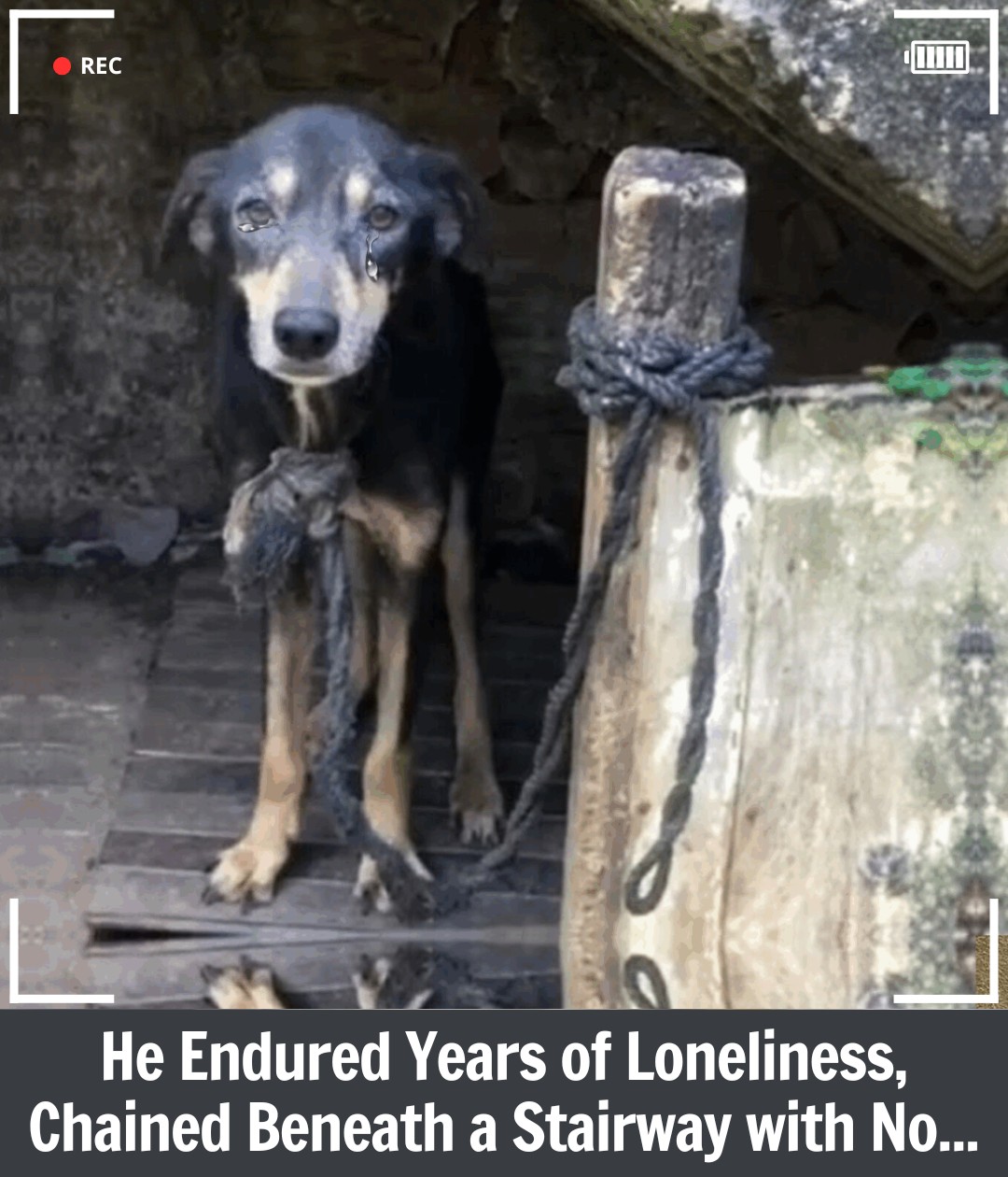 Black’s Journey: From Seven Years of Chains to a Life of Love and Freedom