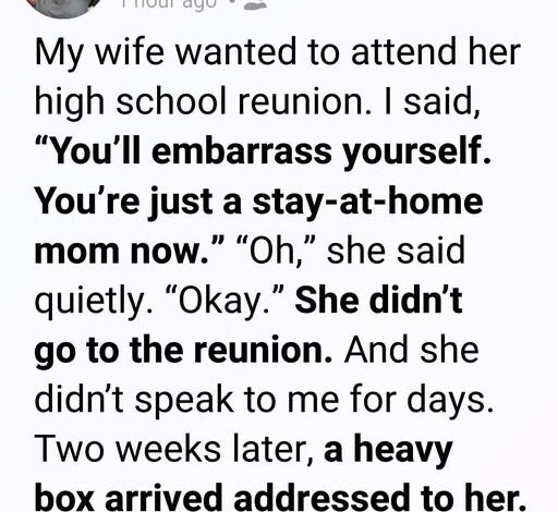 I Mocked My Wife for Being “Only a Stay-at-Home Mom”—Then Two Weeks Later, One Box Left Me in Tears.
