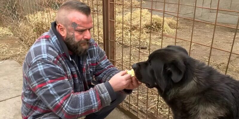 That day wasn’t planned. He shouldn’t have been there at all… but when our paths crossed, he saw me—and instantly knew.