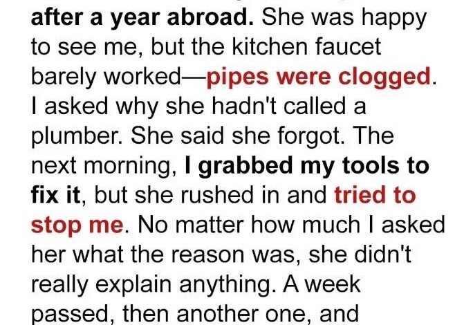 My mom refused to let me fix the clogged kitchen sink pipes, and what I eventually found inside left me speechless.