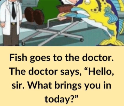 Video: Fish goes to the doctor