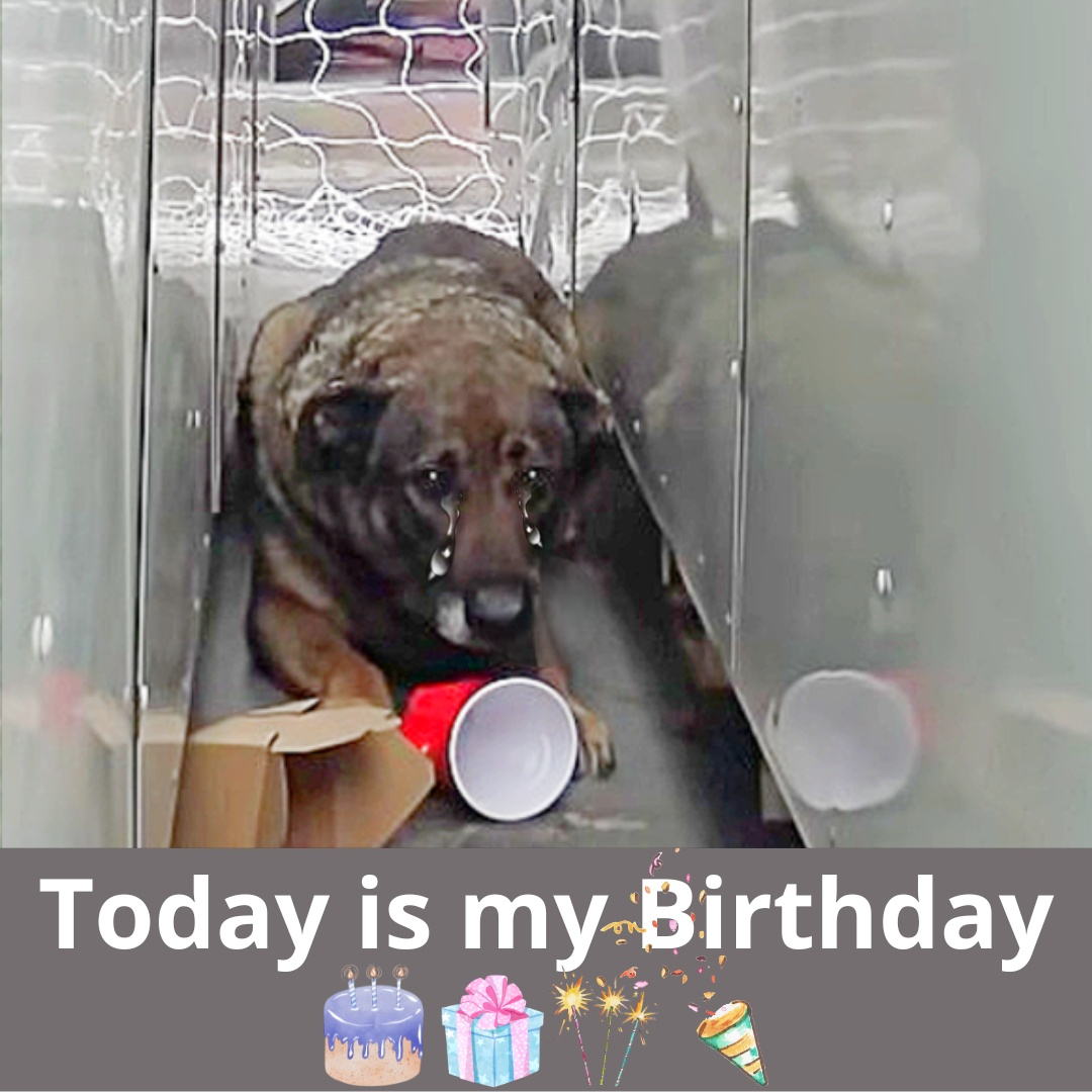 Toby Marks First-Ever Birthday Celebration with Beloved Forever Family