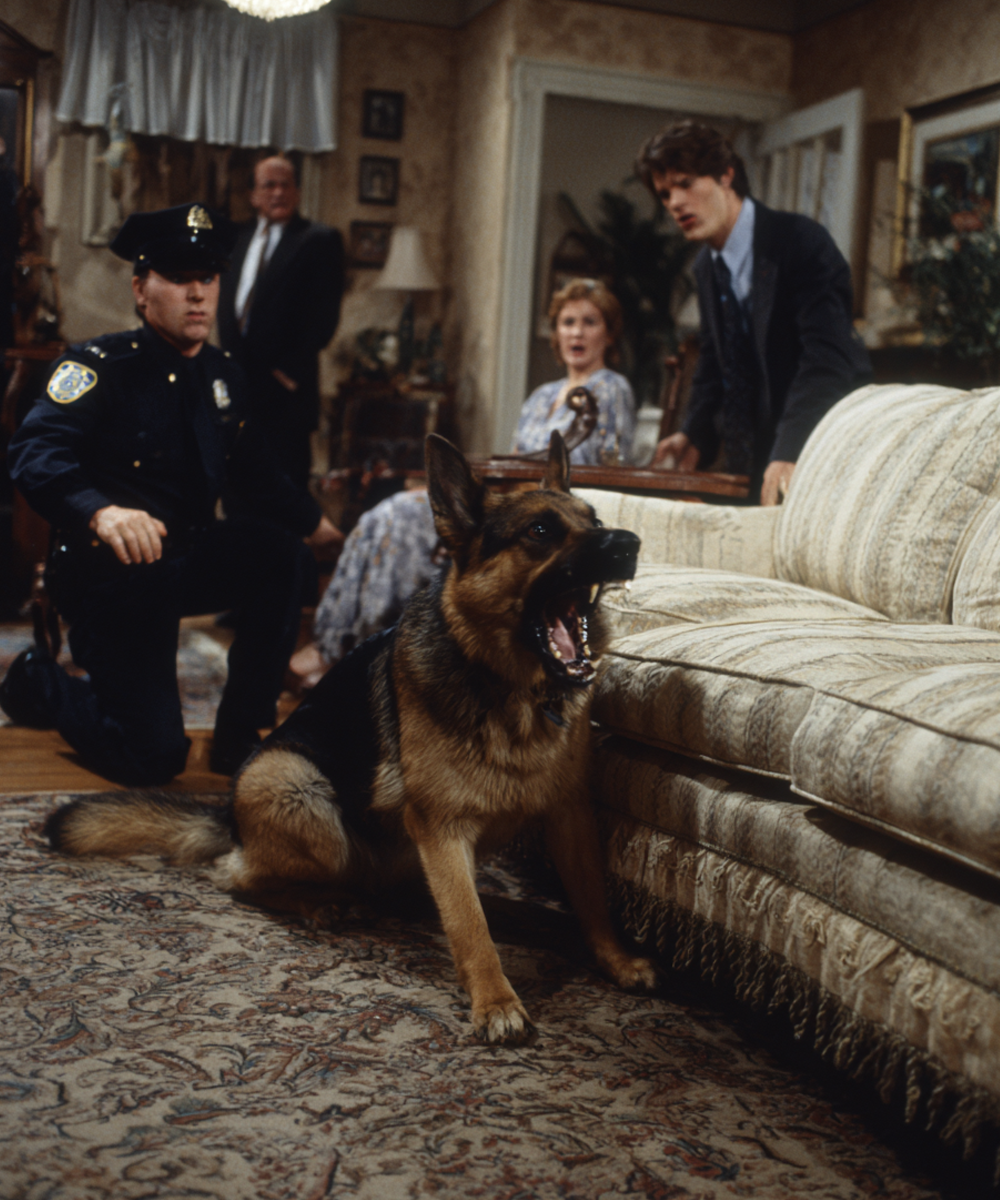 A Couple Heard Strange Noises Coming from Their Couch — What Police Found Inside Shocked Everyone 😱😱