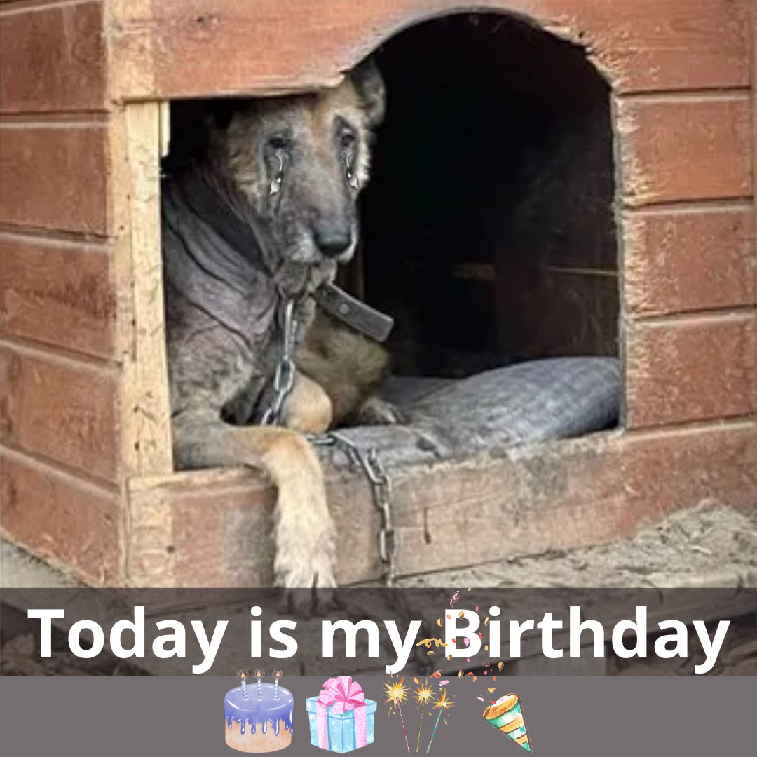 A Journey of Resilience: Celebrating Kira’s New Beginning