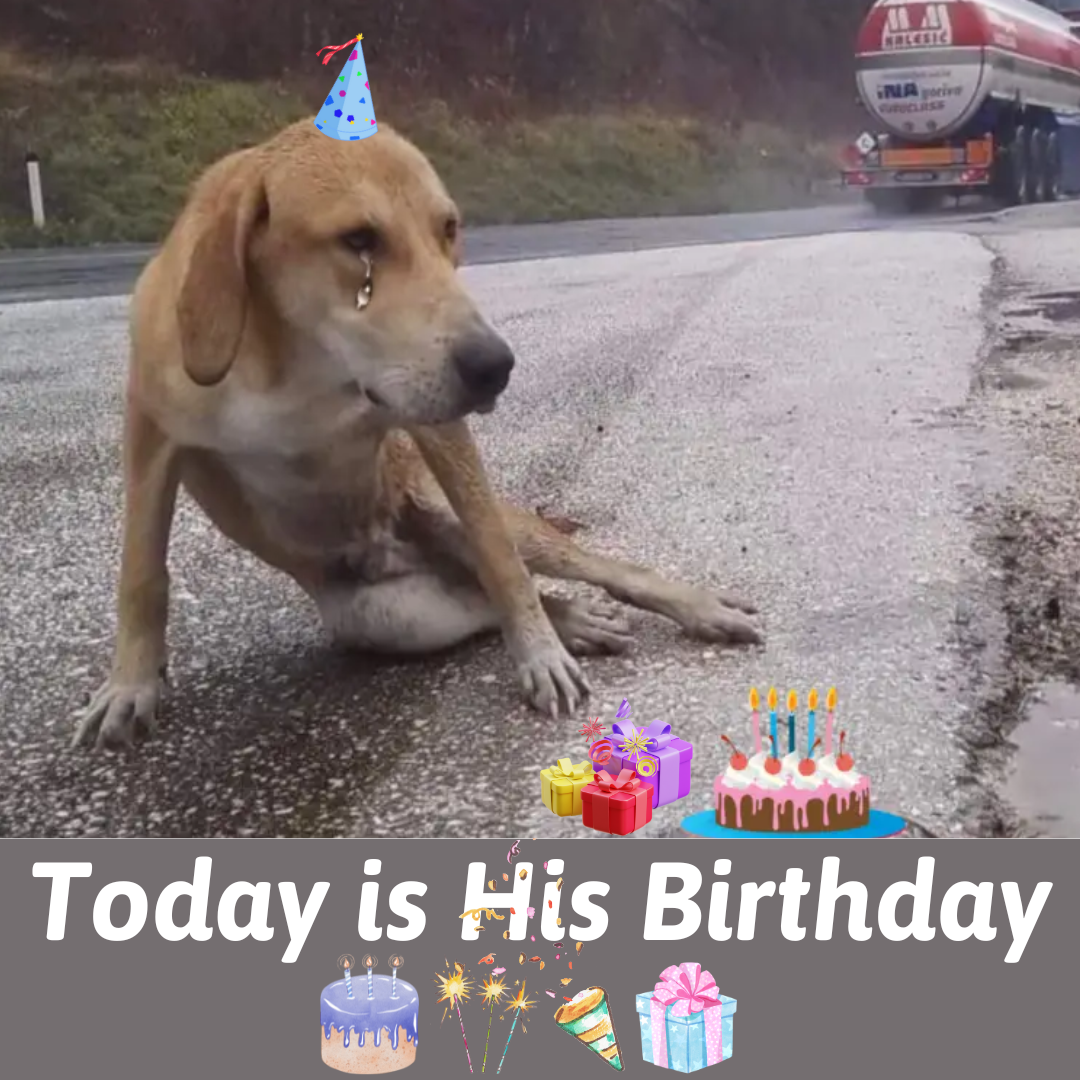 Maddox’s Miracle: A Journey of Pain, Perseverance, and a Birthday Worth Celebrating