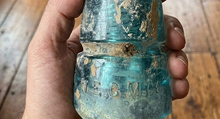 I was out walking my dog last night and found this weird thing.