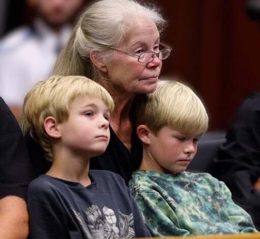 My DIL Demanded Full Custody of My Twin Grandsons after Ignoring Us for 10 Years – What One of the Boys Told the Judge Made the Whole Courtroom Freeze