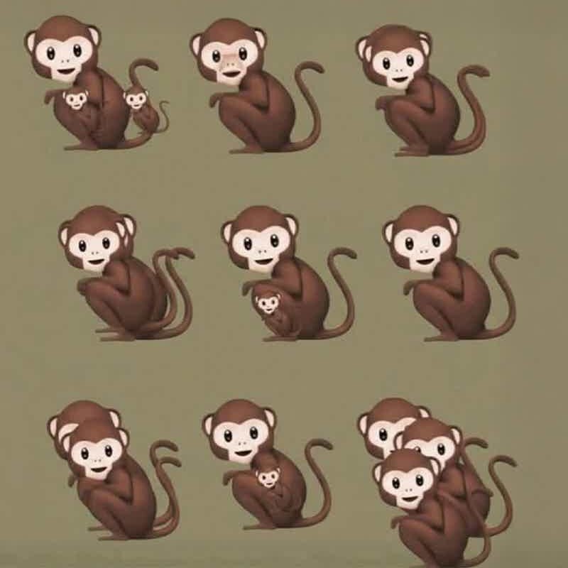 The Number Of Monkeys You See Determines If You’re A Narcissist
