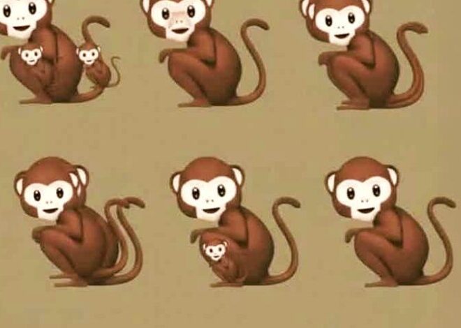 How Many Monkeys You Spot Could Reveal If You’re a Narcissist