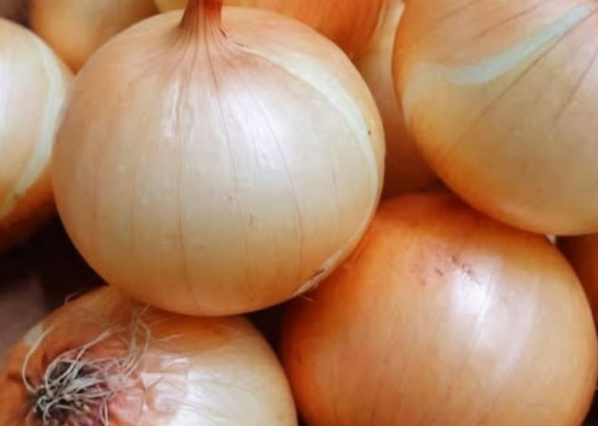 Doctors reveal that eating onion causes