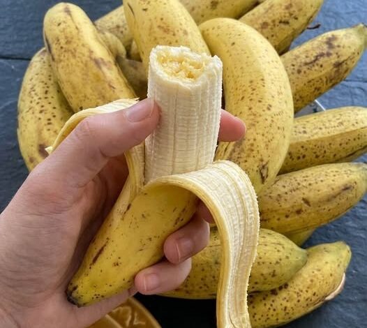 How a Daily Banana Can Support Healthy Living After Age 50