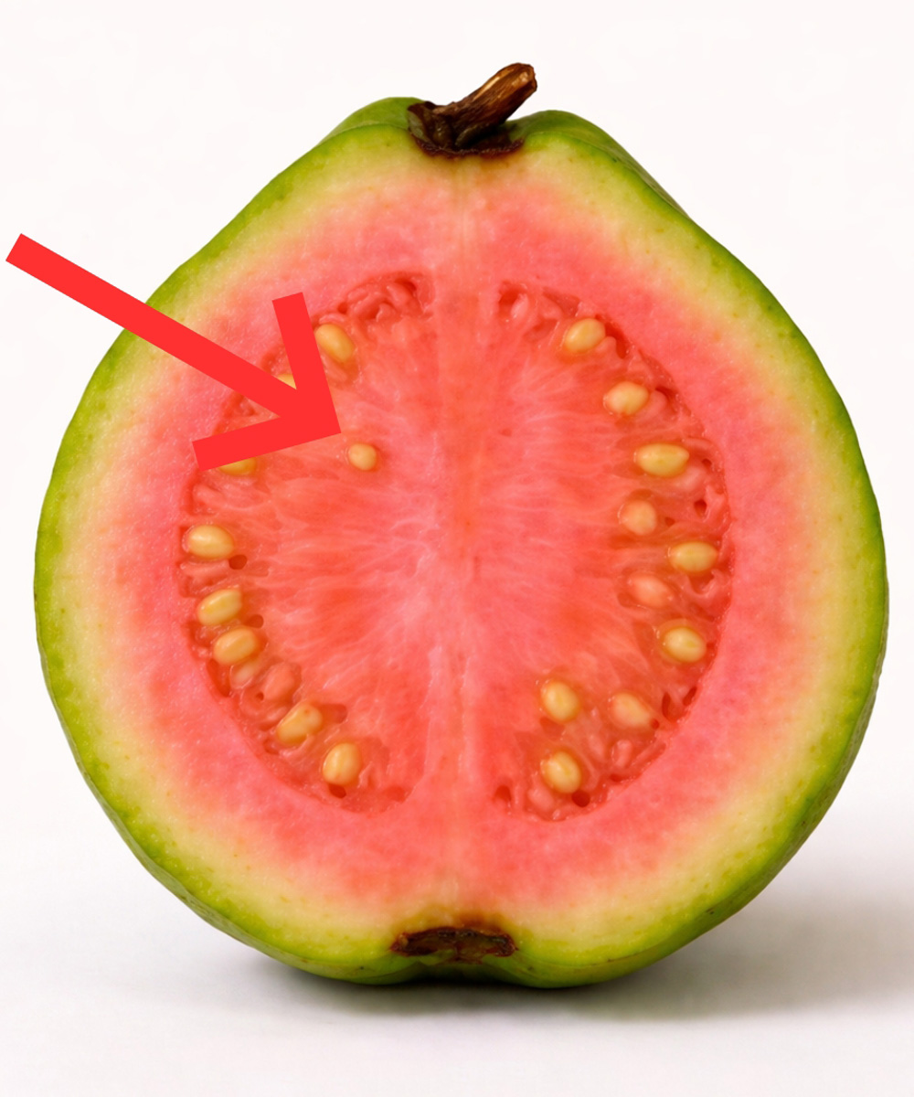 Doctors reveal that guava leaf tea causes…