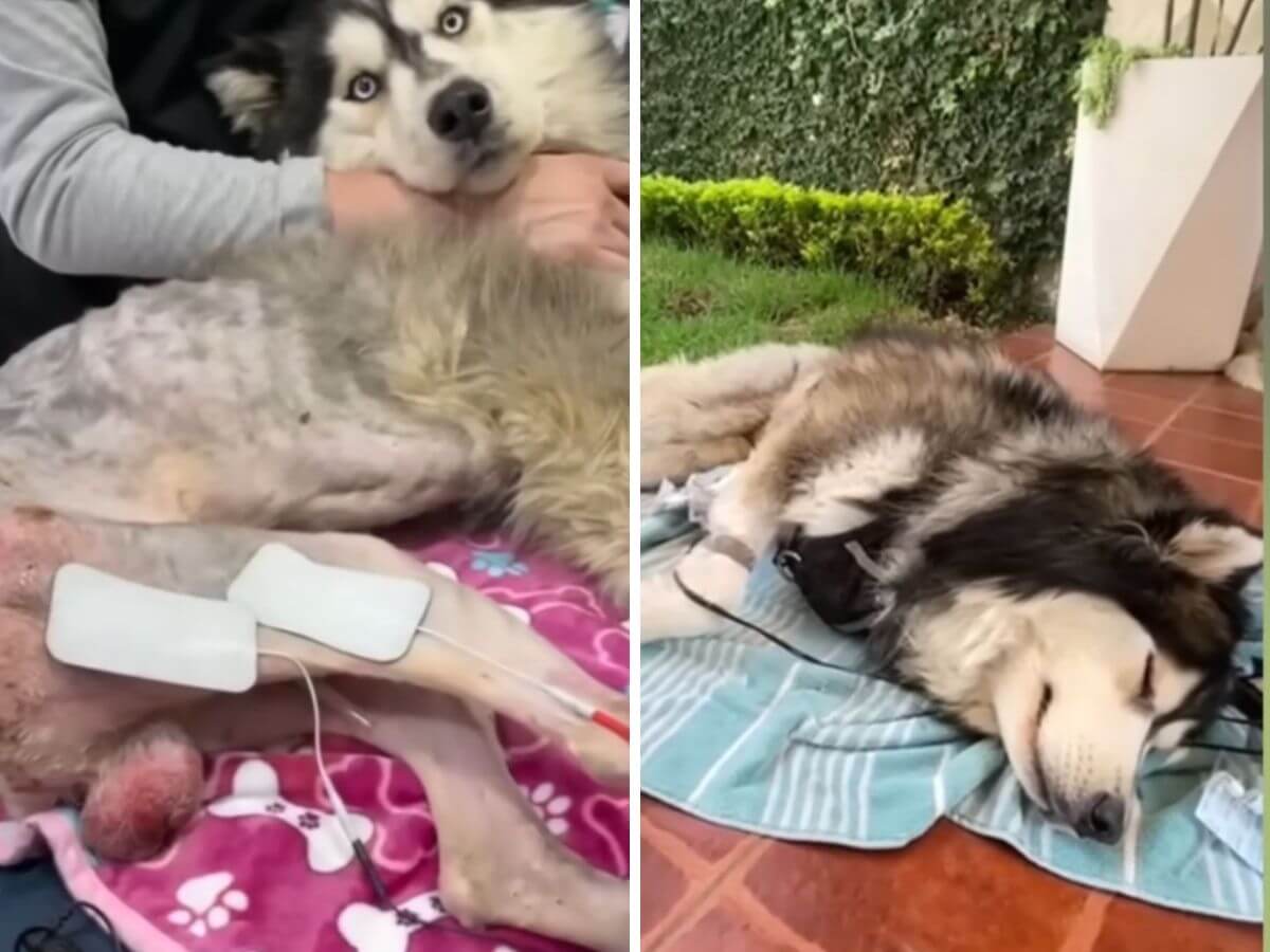 Thrown From a Speeding Car and Left Paralyzed, Russell Refused to Give Up