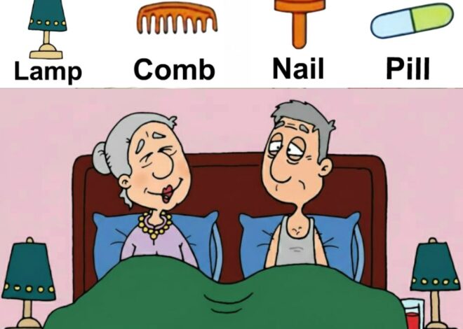 Find Lamp, Comb, Nail, Pill.