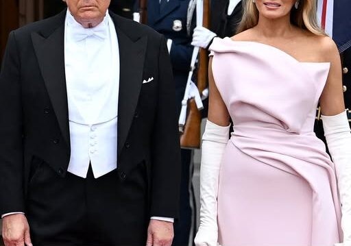 The one detail critics can’t stop talking about in Melania’s pink dress