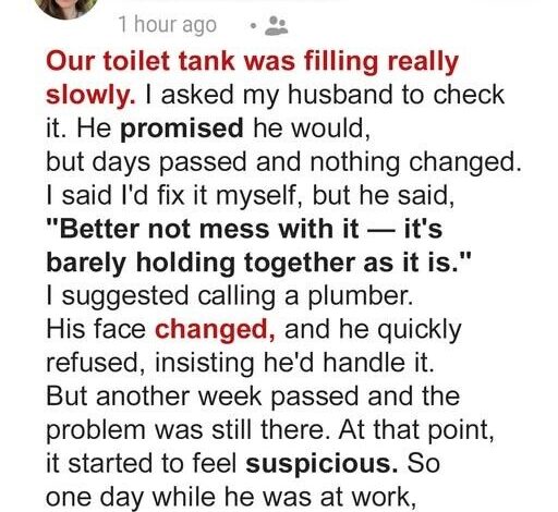 My Husband Ignored the Toilet Problem for Weeks and Refused to Call a Plumber – When I Opened the Lid, I Was Left Speechless
