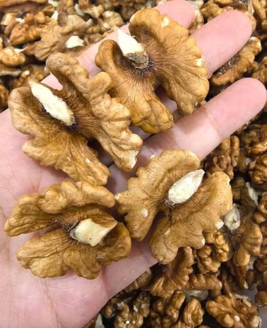 Doctors Explain the Effects of Eating Walnuts Regularly
