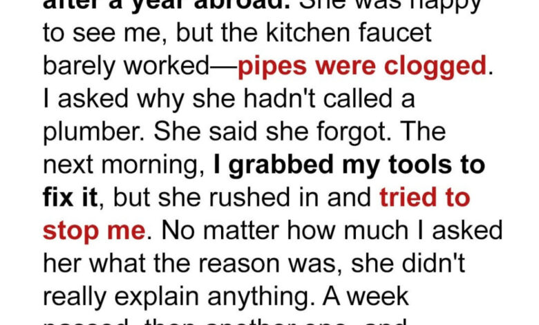My Mom Refused to Let Me Fix the Clogged Kitchen Sink Pipes – What I Eventually Found Inside Left Me Speechless