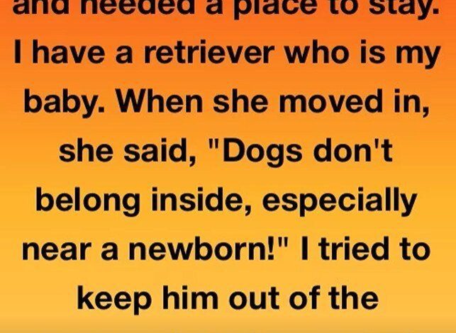 My dog saved my sisters baby a story abou -family trust and unseen heroes