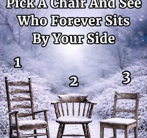 Choose a Chair and Discover What It Reveals About Connection and Loyalty