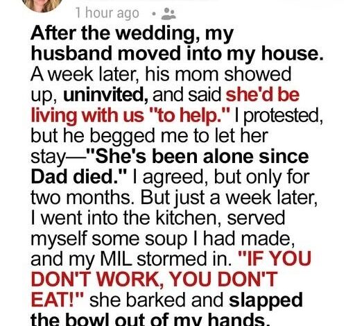 My MIL Moved Into My House and Barked, ‘If You Don’t Work, You Don’t Eat!’ – My Husband’s Reaction to the Situation Shocked Me to the Core