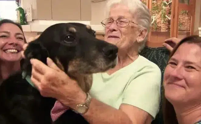 Dog Kept Breaking Out Of Shelter And Running To A Nursing Home To Hang Out With Its Residents
