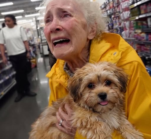 I Paid for a Struggling Grandma at the Grocery Store – Three Days Later, the Clerk Came to My Door with Her Final Request