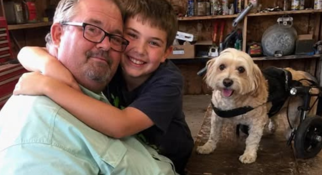My 10-Year-Old Son Built Tiny Wheels for Our Neighbor’s Dog – The Next Day, the Man Showed up at Our Door and Said, ‘You Passed the Test. Come See What I Prepared for You’