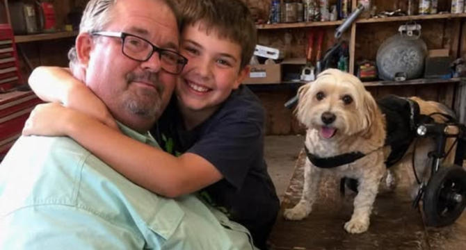 My 10-Year-Old Son Built Tiny Wheels for Our Neighbor’s Dog – The Next Day, the Man Showed up at Our Door and Said, ‘You Passed the Test. Come See What I Prepared for You’