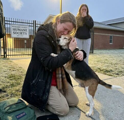 Part 2: I’m The Morning Shift Manager At A Small Animal Shelter In Rural Indiana — On A Monday Morning In February I Found A 12-Year-Old Beagle Tied To Our Gate With A Backpack. The Letter Inside The Backpack Made Me Sit Down On The Cold Concrete. Eight Months Later I Got A Phone Call I Was Not Expecting