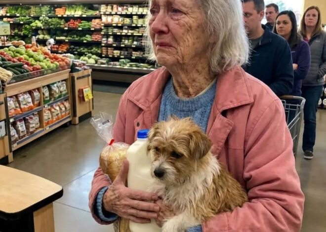 I Paid for a Struggling Grandma at the Grocery Store and Her Final Act Changed My Life Forever