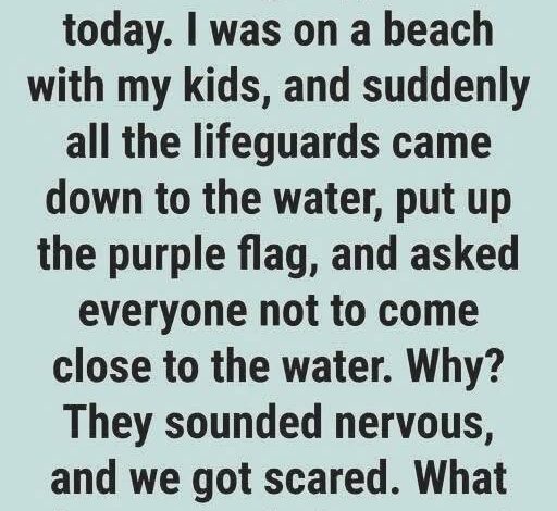 What a Purple Flag at the Beach Means for Safety and Marine Conditions