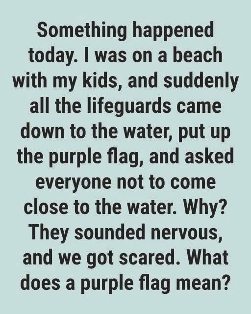 What a Purple Flag at the Beach Means for Safety and Marine Conditions