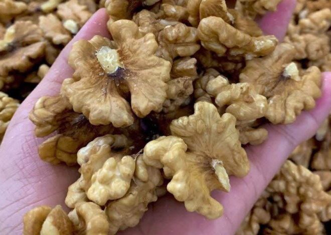 Doctors reveal that eating walnuts causes – Welcome