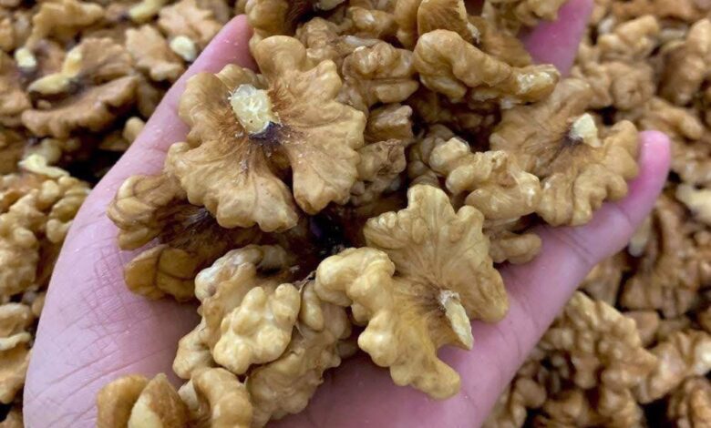 Doctors reveal that eating walnuts causes – Welcome