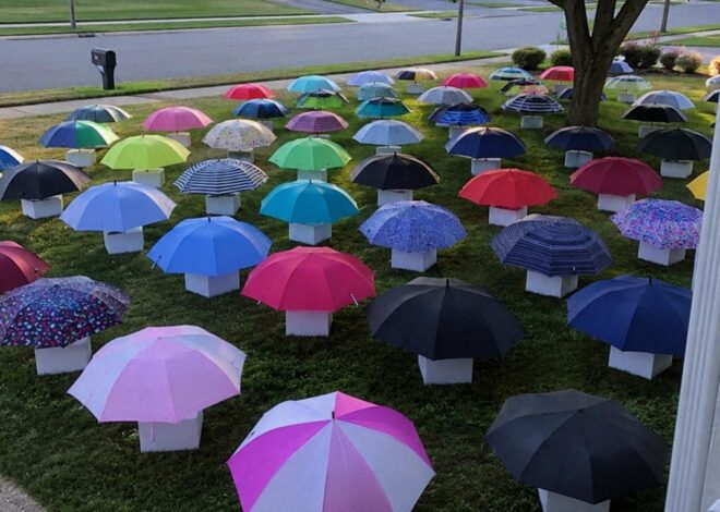 My Son Gave His Umbrella to a Pregnant Stranger in the Rain – The Next Morning, 47 Umbrellas Appeared on Our Lawn, Each With a Numbered Box That Made My Heart Stop