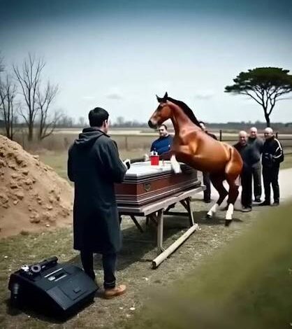 As we buried my husband, his horse knocked the coffin lid loose