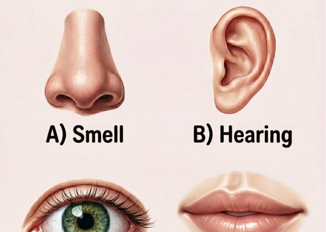 Which sense is most closely linked to memory?