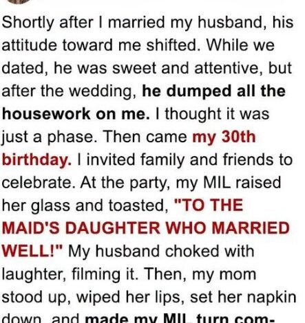 At My Birthday Party My MIL Toasted ‘To the Maid’s Daughter Who Married Well’ – My Mom’s Epic Response Put Her in Place