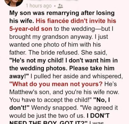 My New DIL Screamed, “He’s Not My Child!” and Banned My Grandson from the Wedding Photos — So I Stepped In to Show Everyone Who She Really Is
