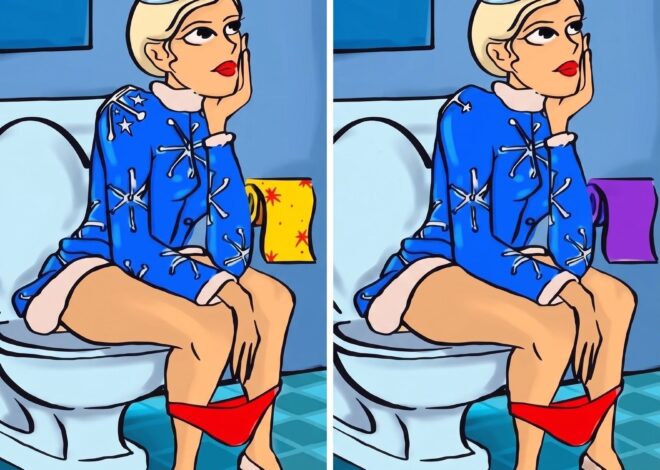 This funny bathroom picture has 4 hidden differences, can your eyes catch them all?