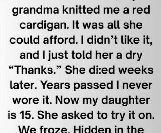 The Red Cardigan That Waited Fifteen Years: A Grandmother’s Love Woven in Every Stitch