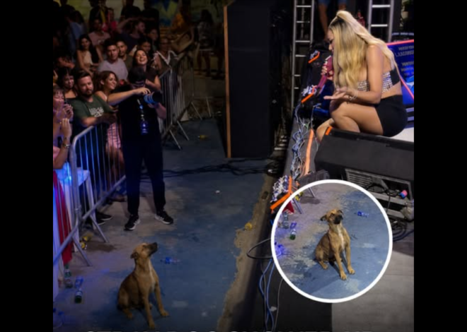 He came for the Music — Then he stole the Singer’s Heart!