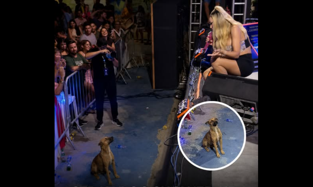 He came for the Music — Then he stole the Singer’s Heart!