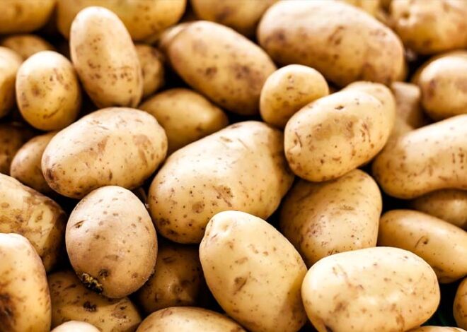 This Everyday Food Was Blamed for Years — But Scientists Reveal the Surprising Truth